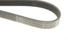 Ремень генератора Renault Kangoo 1.9D 97-/Mazda 3/6/CX-5 2.2D 12-/Fiat Scudo 2.0 00-06 (6PK1190) BOSCH 1 987 947 818 (фото 5)