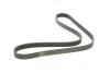 Ремень генератора Renault Kangoo 1.9D 97-/Mazda 3/6/CX-5 2.2D 12-/Fiat Scudo 2.0 00-06 (6PK1190) BOSCH 1 987 947 818 (фото 8)