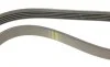 Ремень генератора Honda Accord 2.0 EX -97 (5PK930) BOSCH 1 987 947 825 (фото 4)