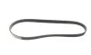 Ремінь генератора Renault Kangoo 1.2i 97-/Subaru Impreza 2.0 05-07/Nissan Pathfinder 4.0 05- (5PK875) BOSCH 1 987 947 829 (фото 5)