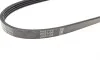 Ремень генератора Hyundai Sonata 2.0 i 91-96/Fiat Punto 1.6 94-97/Peugeot 305 1.6 82-88 (4PK975) BOSCH 1 987 947 830 (фото 3)