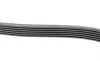 Ремень генератора MB OM601/602 (6PK1980) BOSCH 1 987 947 832 (фото 5)