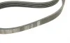 Ремінь генератора Renault 11/9/BMW 7 (E32)/8 (E31)/Mazda 323/626/Citroen XM 83-04 (5PK1165) BOSCH 1 987 947 841 (фото 4)