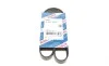Ремень генератора VW Crafter 2.0TDI 11-16/Golf 1.4/1.6 97-05/Audi A1/A2/A4 1.4-2.0 01-18 (6PK1080) BOSCH 1 987 947 842 (фото 1)