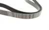 Ремень генератора VW Crafter 2.0TDI 11-16/Golf 1.4/1.6 97-05/Audi A1/A2/A4 1.4-2.0 01-18 (6PK1080) BOSCH 1 987 947 842 (фото 3)