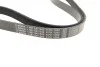 Ремень генератора VW Crafter 2.0TDI 11-16/Golf 1.4/1.6 97-05/Audi A1/A2/A4 1.4-2.0 01-18 (6PK1080) BOSCH 1 987 947 842 (фото 7)