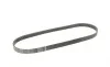 Ремень генератора Ford Focus/Kuga 2.5 05- (5PK850) BOSCH 1 987 947 847 (фото 2)