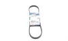 Ремінь генератора Smart Fortwo 0.6-0.7i 02-07/Mitsubishi Colt 1.5 05-12 (4PK790) BOSCH 1 987 947 856 (фото 1)