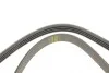 Ремень генератора Renault Mascott 99-05/Iveco Daily 99-06/Mazda 323 89-96/MX-3 93-98 (4PK1015) BOSCH 1 987 947 860 (фото 4)