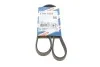 Ремень генератора Renault Mascott 99-05/Iveco Daily 99-06/Mazda 323 89-96/MX-3 93-98 (4PK1015) BOSCH 1 987 947 860 (фото 9)