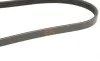 Ремінь генератора Suzuki Grand Vitara 2.5 V6/2.7 4x4 98-03 (4PK1028) BOSCH 1 987 947 861 (фото 4)