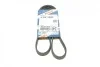 Ремень генератора Toyota Avensis/Camry/Rav 4 1.8/2.0 83-00/Honda Civic 1.4-1.6 88-95 BOSCH 1 987 947 878 (фото 5)