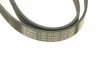 Ремень генератора Hyundai i30/ Tucson/ix20 1.4i-1.6 07-/Kia Cee'd/Picanto/Soul 1.0-1.6 06- (6PK1256) BOSCH 1 987 947 887 (фото 3)