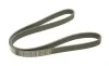 Ремень генератора Hyundai i30/ Tucson/ix20 1.4i-1.6 07-/Kia Cee'd/Picanto/Soul 1.0-1.6 06- (6PK1256) BOSCH 1 987 947 887 (фото 5)
