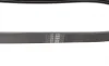 Ремень генератора Renault Kangoo 1.6i 08-/ Nissan Micra1.0-1.4 92-03 (4PK725) BOSCH 1 987 947 889 (фото 2)