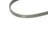 Ремінь генератора Ford Transit 2.0 TDCI 00-06 (4PK735) BOSCH 1 987 947 890 (фото 4)