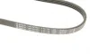 Ремінь генератора Ford Transit 2.0 TDCI 00-06 (4PK735) BOSCH 1 987 947 890 (фото 5)