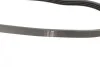 Ремінь генератора Renault Laguna/Espace 3.5 02-/Honda Civic 1.6 88-01 (4PK775) BOSCH 1 987 947 891 (фото 4)