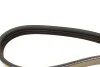Ремень генератора Honda Civic VI/Nissan Primera/Citroen Berlingo 1.4-1.6 16V 94-05 (4PK800) BOSCH 1 987 947 893 (фото 3)