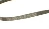 Ремінь генератора поліклиновий Nissan Primera 93-01/Peugeot 205/309 85-98/Hyundai Accent 1.1-1.6 95-10 (4PK815) BOSCH 1 987 947 894 (фото 4)