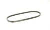 Ремінь генератора поліклиновий Nissan Primera 93-01/Peugeot 205/309 85-98/Hyundai Accent 1.1-1.6 95-10 (4PK815) BOSCH 1 987 947 894 (фото 5)