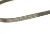 Ремінь генератора поліклиновий Nissan Primera 93-01/Peugeot 205/309 85-98/Hyundai Accent 1.1-1.6 95-10 (4PK815) BOSCH 1 987 947 894 (фото 7)