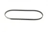 Ремень генератора Hyundai Accent 1.3-1.6 94-11/ Toyota Carina/ Corolla 1.6-2.0 93-01 (4PK850) BOSCH 1 987 947 895 (фото 9)