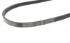 Ремінь генератора поліклиновий Hyundai Tucson/i30/Kia Sportage/Carens/Ceed/Suzuki Grand Vitara 04-/Audi/BMW/Mazda BOSCH 1 987 947 898 (фото 3)