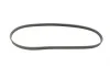 Ремінь генератора поліклиновий Hyundai Tucson/i30/Kia Sportage/Carens/Ceed/Suzuki Grand Vitara 04-/Audi/BMW/Mazda BOSCH 1 987 947 898 (фото 5)