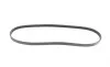 Ремень генератора Renault Kangoo/Clio 1.2i 97-/Fiat Scudo 1.6i 96-06/Nissan Kubistar 1.2 03-(4PK905) BOSCH 1 987 947 899 (фото 5)