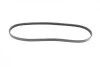 Ремень генератора Renault Kangoo/Clio 1.2i 97-/Fiat Scudo 1.6i 96-06/Nissan Kubistar 1.2 03-(4PK905) BOSCH 1 987 947 899 (фото 7)