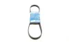 Ремінь генератора BMW 3 (E36)/5 (E34/E39) 2.0/2.5i 90-00/Ford Focus 2.5 05-12/Volvo C30/C70 04-13 BOSCH 1 987 947 913 (фото 1)