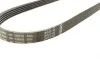 Ремінь генератора BMW 3 (E36)/5 (E34/E39) 2.0/2.5i 90-00/Ford Focus 2.5 05-12/Volvo C30/C70 04-13 BOSCH 1 987 947 913 (фото 3)