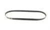 Ремінь генератора BMW 3 (E36)/5 (E34/E39) 2.0/2.5i 90-00/Ford Focus 2.5 05-12/Volvo C30/C70 04-13 BOSCH 1 987 947 913 (фото 5)