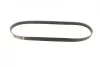 Ремінь генератора BMW 3 (E36)/5 (E34/E39) 2.0/2.5i 90-00/Ford Focus 2.5 05-12/Volvo C30/C70 04-13 BOSCH 1 987 947 913 (фото 8)