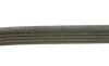 Ремінь генератора Fiat Ducato 1.9D/TD/Peugeot 106 1.5D 94-04/Mitsubishi Lancer 1.3 98-04 (5PK962) BOSCH 1 987 947 918 (фото 2)