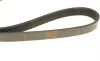 Ремінь генератора Fiat Ducato 1.9D/TD/Peugeot 106 1.5D 94-04/Mitsubishi Lancer 1.3 98-04 (5PK962) BOSCH 1 987 947 918 (фото 3)