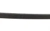 Ремень генератора Mazda 626 1.8-2.2 86-96/Opel Kadett 1.6 86-94/Ford Escort 1.8D 88-95 (5PK1010) BOSCH 1 987 947 921 (фото 3)