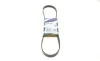 Ремень генератора Mazda 323/626/ Opel Astra G/Vectra B/C 2.0/2.2 00-08 (5PK1030) BOSCH 1 987 947 923 (фото 4)