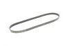 Ремень генератора Mazda 323/626/ Opel Astra G/Vectra B/C 2.0/2.2 00-08 (5PK1030) BOSCH 1 987 947 923 (фото 6)