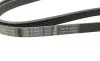Ремінь генератора Renault Trafic/Master/Laguna/Opel Movano/Vivaro 1.9dCi 01- (5PK1125) BOSCH 1 987 947 927 (фото 2)