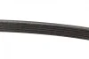Ремень генератора VW Caddy III 1.4/1.6 04-/Golf/Polo 1.2/1.4TSI 12-/Audi A3 1.2/1.4TFSI 13- (6PK737) BOSCH 1 987 947 932 (фото 9)