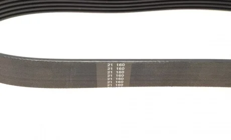 Ремінь генератора VW Caddy/Golf/Skoda Octavia 1.6/2.0 04-15/Fiat Ducato 2.5TDI 94-02/Scudo 1.6 96-06 BOSCH 1 987 947 936