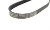 Ремень генератора VW Caddy/Golf 1.6/2.0 04-15/Fiat Ducato 2.5TDI 94-02/Scudo 1.6 96-06 (6PK900) BOSCH 1 987 947 936 (фото 5)