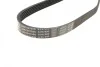 Ремень генератора VW Caddy/Golf 1.6/2.0 04-15/Fiat Ducato 2.5TDI 94-02/Scudo 1.6 96-06 (6PK900) BOSCH 1 987 947 936 (фото 8)