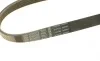 Ремінь генератора VW T4/Caddy 1.9D/TD 90-03/Toyota Corolla/Auris 1.4D 06-14/Kia Rio 1.25 17- (6PK923) BOSCH 1 987 947 938 (фото 5)