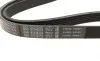 Ремінь генератора VW Golf III/Passat/T4 1.9D/TD 90-04/Opel Corsa F 1.2 19-/Fiat Scudo 1.9D 98-06 BOSCH 1 987 947 940 (фото 2)