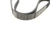 Ремінь генератора VW Golf III/Passat/T4 1.9D/TD 90-04/Opel Corsa F 1.2 19-/Fiat Scudo 1.9D 98-06 BOSCH 1 987 947 940 (фото 3)