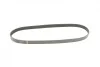 Ремінь генератора Mitsubishi Galant VI 2.5 96-04/ Nissan Micra/ Murano/ Note 1.0-3.5 03- (6PK1063) BOSCH 1 987 947 941 (фото 8)