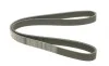 Ремень генератора Fiat Ducato/Citroen Jumper 1.9D/TD 94-/Renault Trafic 2.5dCI 03- (6PK1153) BOSCH 1 987 947 944 (фото 6)